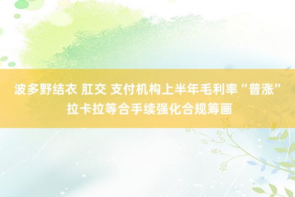 波多野结衣 肛交 支付机构上半年毛利率“普涨” 拉卡拉等合手续强化合规筹画