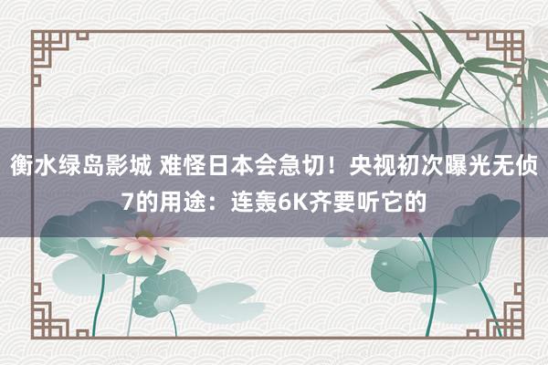 衡水绿岛影城 难怪日本会急切！央视初次曝光无侦7的用途：连轰6K齐要听它的