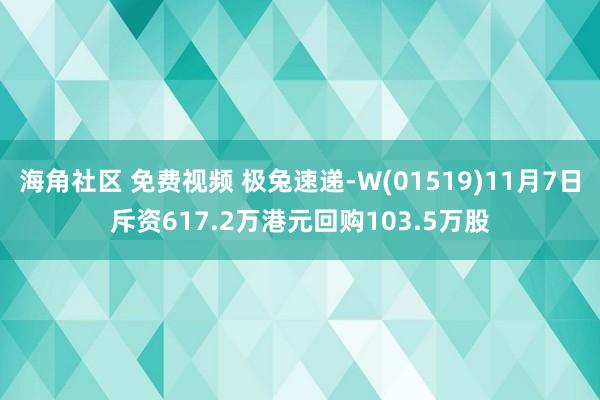 海角社区 免费视频 极兔速递-W(01519)11月7日斥资617.2万港元回购103.5万股