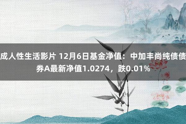 成人性生活影片 12月6日基金净值：中加丰尚纯债债券A最新净值1.0274，跌0.01%