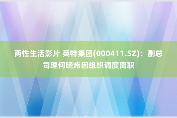 两性生活影片 英特集团(000411.SZ)：副总司理何晓炜因组织调度离职