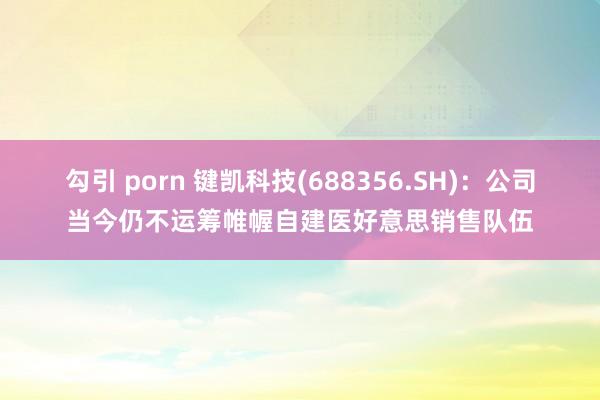 勾引 porn 键凯科技(688356.SH)：公司当今仍不运筹帷幄自建医好意思销售队伍