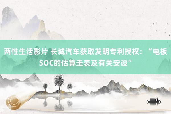 两性生活影片 长城汽车获取发明专利授权：“电板SOC的估算圭表及有关安设”