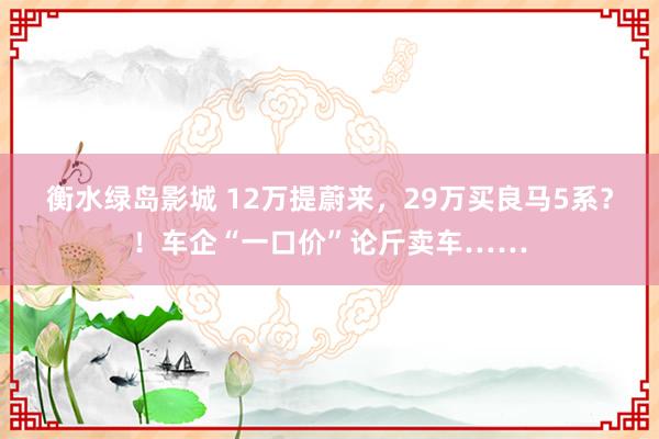 衡水绿岛影城 12万提蔚来，29万买良马5系？！车企“一口价”论斤卖车……