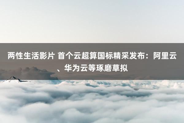 两性生活影片 首个云超算国标精采发布：阿里云、华为云等琢磨草拟