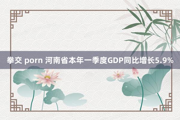 拳交 porn 河南省本年一季度GDP同比增长5.9%