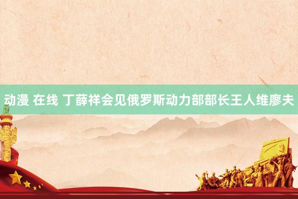 动漫 在线 丁薛祥会见俄罗斯动力部部长王人维廖夫