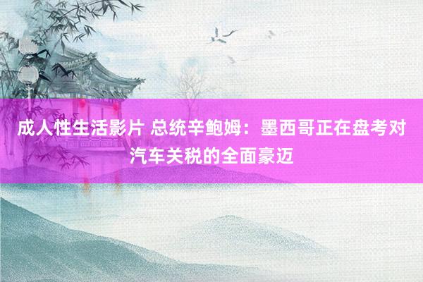 成人性生活影片 总统辛鲍姆：墨西哥正在盘考对汽车关税的全面豪迈