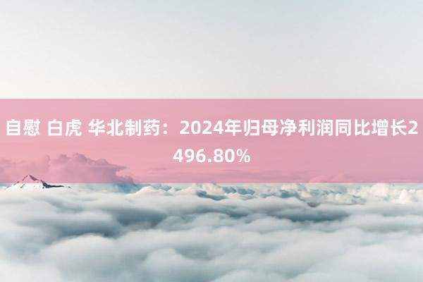 自慰 白虎 华北制药：2024年归母净利润同比增长2496.80%
