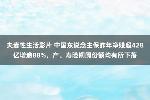 夫妻性生活影片 中国东说念主保昨年净赚超428亿增逾88%，产、寿险阛阓份额均有所下落